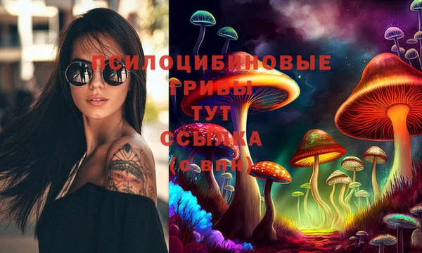 дмт Лиски